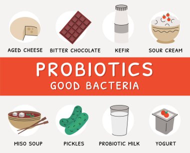 Probiyotik bakteri ürünlerinin kaynakları düz vektör