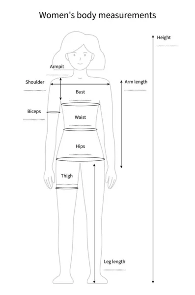 A női test vektorkörvonalainak mérése — Stock Vector