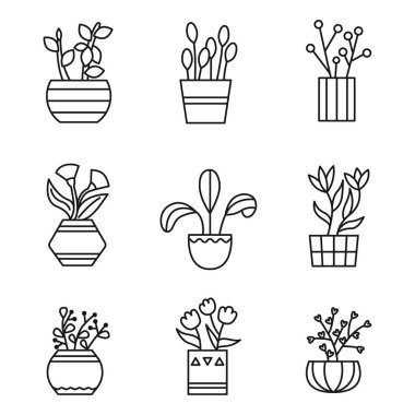 Site için kapalı alan bitkilerinin ana simgeleri, sosyal ağlar veya bilgi grafikleri. Boyama. Düz vektör çizimi beyaz arkaplanda izole edildi. İzole edilmiş