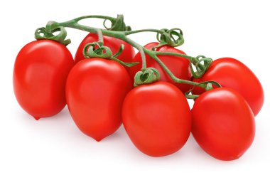 Bir avuç kırmızı roma vf domatesleri. Solanum lycopersicum. Taze erik domates kümesi. Beyaz arkaplanda izole edilmiş sebzeler.