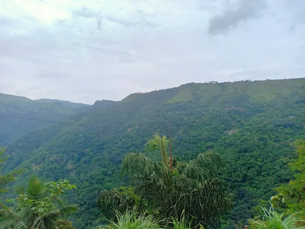 High Range Mountain Trees View Idukki India — Stock Photo, Image