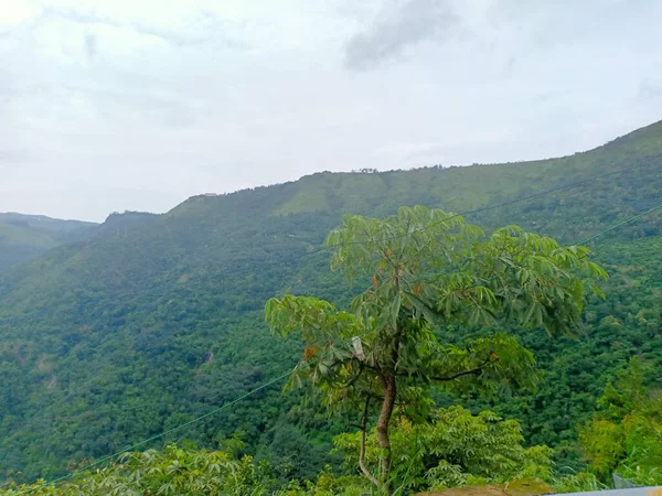 Высокогорный Хребет Деревья Вид Idukki Индии — стоковое фото