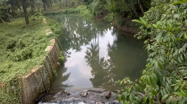 Una Almeja Pequeño Río Una Vista Desde Kerala — Foto de Stock