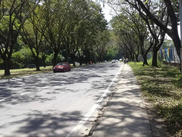 2015 Trees Both Sides Road View Malaysia Port Kelang Kuala — стоковое фото