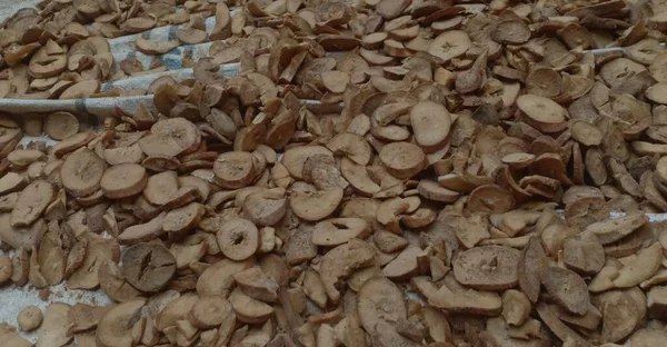 Affettato Costruire Cassava Foglio Plastica Asciugarsi Durante Giornata Sole — Foto Stock