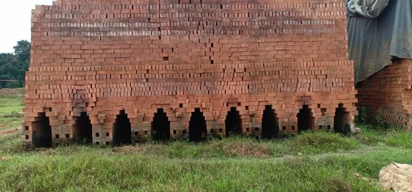 Briques Crues Rouges Empilées Dans Une Rangée Cocotiers — Photo