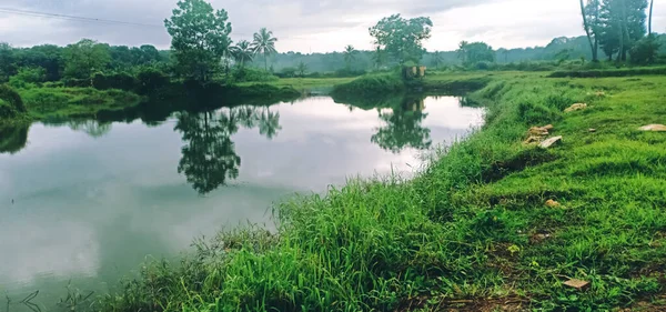 Ruhiger See Und Baumreflexion See Ein Blick Aus Kerala Indien — Stockfoto