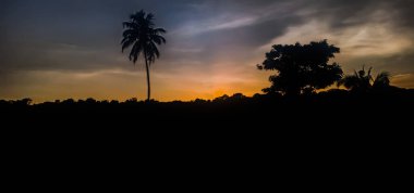 Kerala 'da günbatımı. Deniz tarağı bulutlu ve turuncu karamsar gökyüzü, gün batımında güzel hindistan cevizi ağacı manzarası.