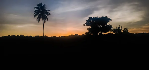 Sonnenuntergang Kerala Muschelwolken Und Orangefarbener Himmel Schöne Aussicht Auf Kokospalmen — Stockfoto