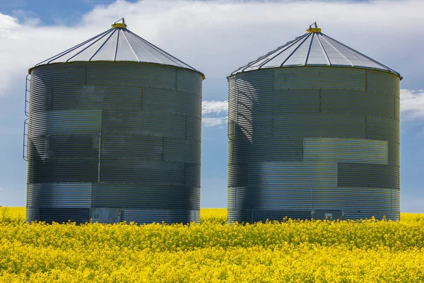 加拿大艾伯塔省大草原上的一块油菜地上的大型金属粮仓 凸显了加拿大的农业 — 图库照片