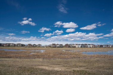 Calgary, Alberta, Kanada, Haziran 01: 2020: City Scape Wetlands 'da belirlenmiş bir yaşam alanı oluşturuldu.