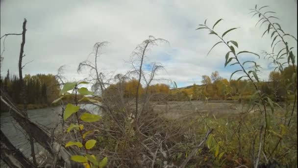 Time Lapse Van Lucht Met Wolken Boven Een Rivier Tijdens — Stockvideo