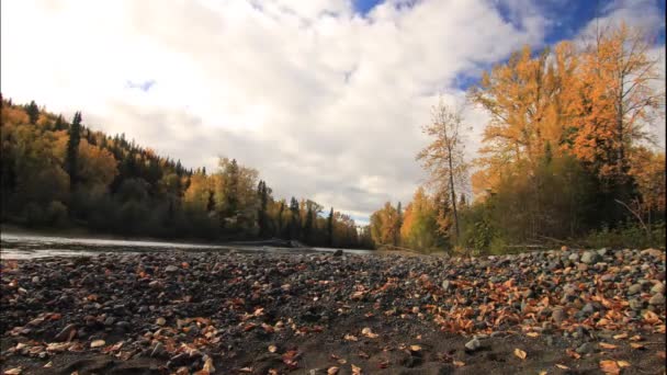 Time Laps Sky Clouds River Fall British Columbia Canada — Stock video