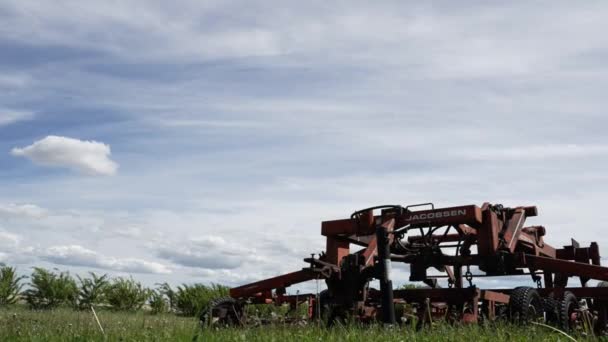 Rocky View County Alberta Canada Haziran 2020 Alberta Ovalarında Rüzgarlı — Stok video