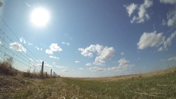 Rotierender Zeitraffer Eines Stacheldrahtzauns Dem Vieh Auf Einer Farm Alberta — Stockvideo