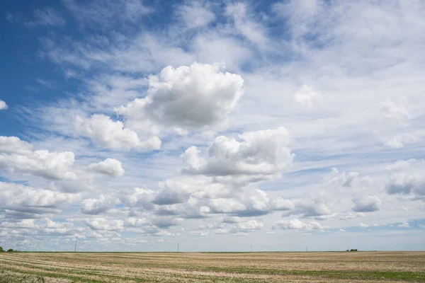Landskapsbild Med Dramatisk Molnig Himmel Över Ett Vetefält Kanadensiska Prärierna — Stockfoto