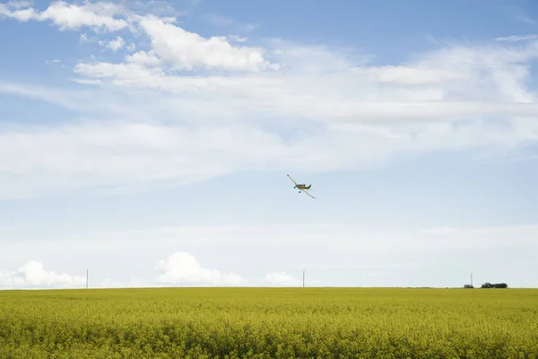 A crop duster flying low sprays a blooming yellow canola field in Rocky View County Canada.