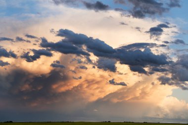 Rocky View County Alberta 'daki bir kanola tarlasında Kanada ovalarında fırtına bulutları oluşuyor..