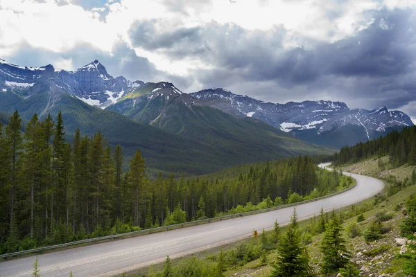 Smith Dorian Patikası, Rocky Dağları 'ndaki Kananaskis Bölgesi' ne yaklaşırken Peter Lougheed İl Parkı 'ndan geçiyor..