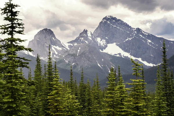 Peter Lougheed省公园从落基山脉远眺远山 是跨加拿大山脉网络的一部分 — 图库照片