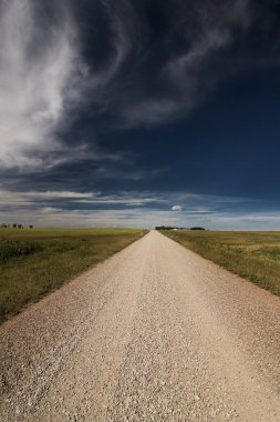 Rocky View County 'de, Alberta ovaları boyunca uzanan taşralı çakıl yolu boyunca mavi gökyüzünün altında manzaralı bir yol..