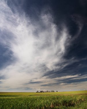 Rocky View County Alberta Canada 'nın ovalarında bir çiftlik arazisi üzerinde dramatik bulutlu bir gökyüzü..
