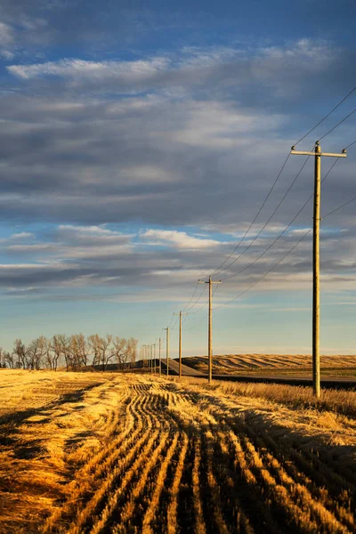 Rocky View County Alberta Canada 'da elektrik direkleri olan kırsal bir yolun yanındaki batık bir tarlada sabah güneşi doğuyor.