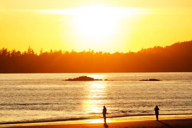 Tofino British Columbia Kanada 'nın dışındaki Pacific Rim Ulusal Parkı' nda Long Beach