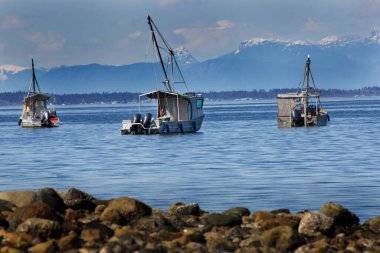 Kanada 'nın Vancouver Adası' ndaki BC kıyılarında bir balıkçı teknesi..