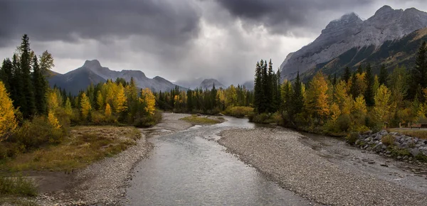 Larch Trees Cores Outono Nas Montanhas Rochosas Canadenses Perto Banff — Fotografia de Stock