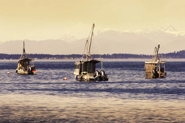 バンクーバー島のBc海岸沖のアンカーで漁船カナダ — ストック写真