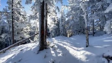 Kış sahnesi, kar boyunca güneş patlamalarıyla kaplı yürüyüş yolu boyunca çekilmiş..