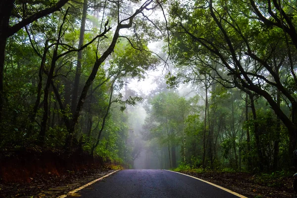 Carretera Forestal Parque Nacional Doi Pui Chiang Mai Thailand — Foto de Stock