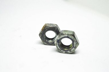 beyaz arkaplanda profil fındıkları