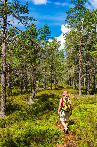 A woman with a backpack is walking through the dense woods of Tresticklan National Park in Sweden. The tall trees and thick undergrowth create a natural canopy as he explores the wilderness.