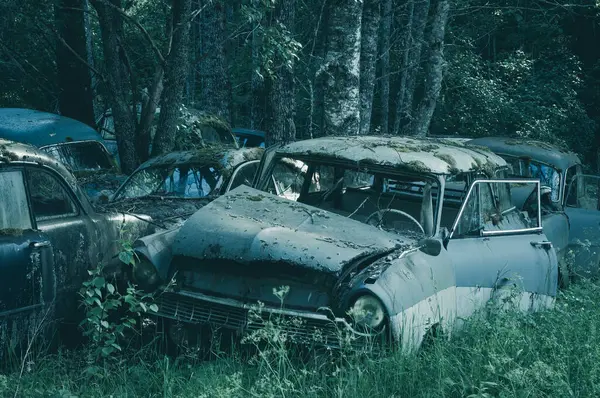 A group of cars lies abandoned in the grass, surrounded by weeds and nature reclaiming the man-made objects. The vehicles are rusty and weathered, showing signs of neglect and decay.