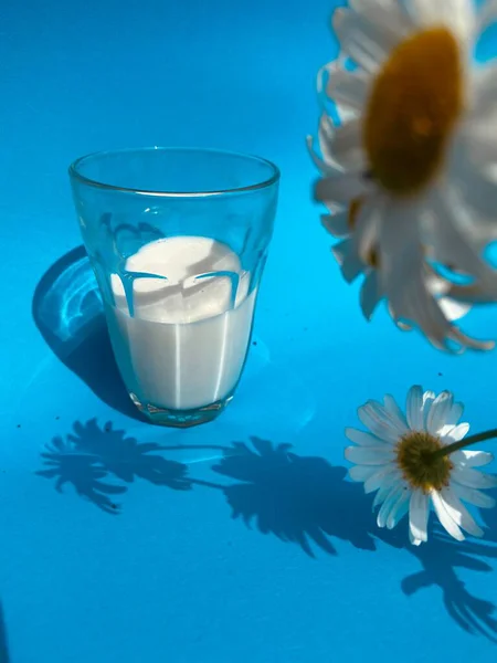 ミルクと青の背景に美しい繊細なデイジーと透明なガラス — ストック写真
