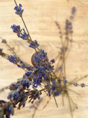 Hafif ahşap zemin üzerinde mavi lavanta