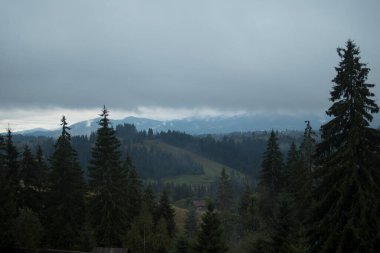 Dağ manzarası, küçük evler ve yoğun kozalaklı ormanlar.