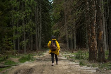 Yoğun kozalaklı ormanda bir kız.