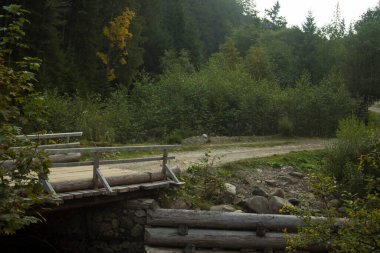 Ormanda nehrin üzerindeki eski ahşap köprü.