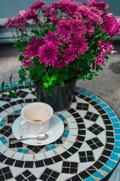 白いコーヒーカップとピンクの菊のポット — ストック写真