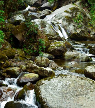 Güzel Şelale, 10 Nisan 2018 Sandakphu, Darjeeling Bölgesi, Batı Bengal, Hindistan