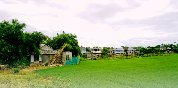 Village Vert Hue Vietnam — Photo