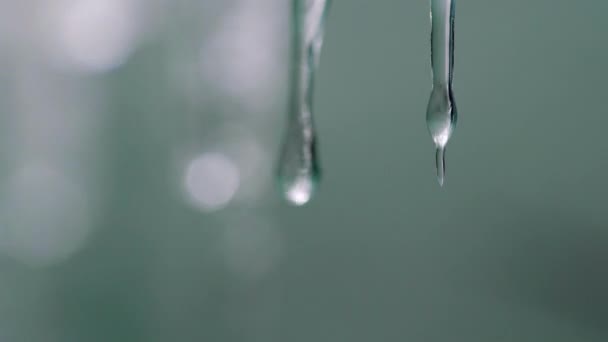 Macro ralenti vidéo de gouttes pures dégoulinant de petits icycles — Video