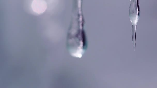 Macro slow-motion video van zuiver waterdruppel druipend van kleine icycles. — Stockvideo