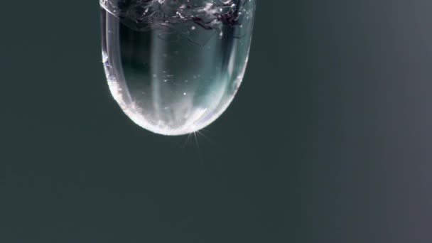 Super close-up slow motion video of a drop dripping from an icycle — Stock Video