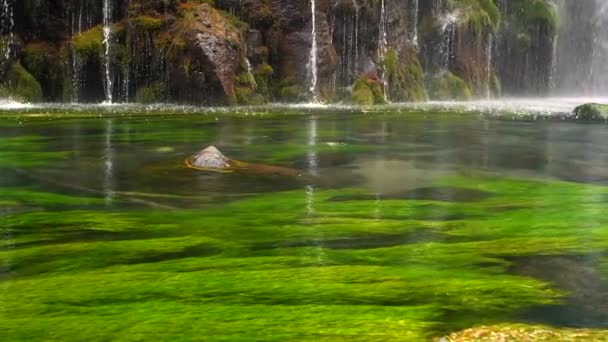 佐治亚州野生丛林森林环境中美丽的瀑布和淡水湖翡翠池的风景 慢动作 — 图库视频影像