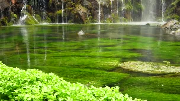 Naturaleza escénica de hermosa cascada y piscina de agua dulce con planta de mar verde — Vídeo de stock