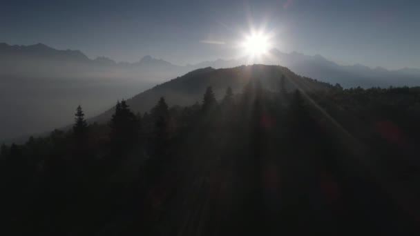 Survolant la forêt dans les montagnes en contre-jour au lever du soleil. coup de drone — Video